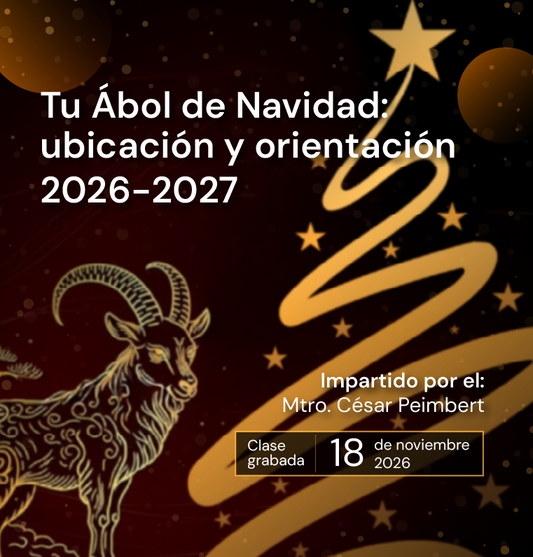 Tu árbol de navidad: ubicación y orientación